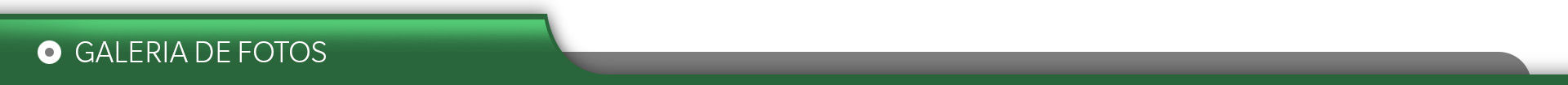 Galeria de Fotos
